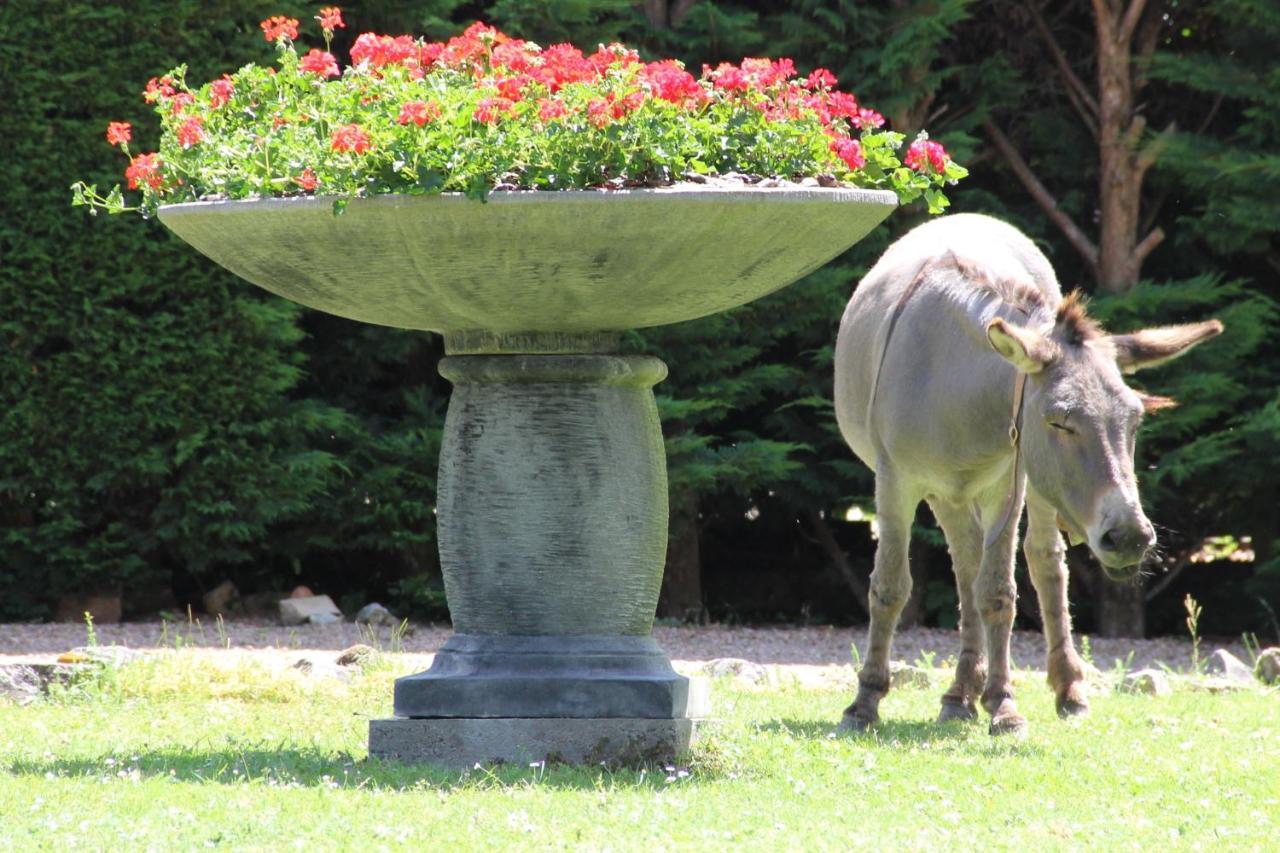 La Ferme De Capucine Bed & Breakfast Culhat Bagian luar foto