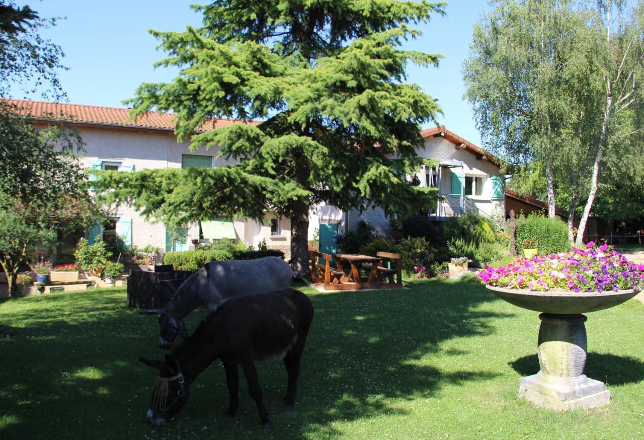 La Ferme De Capucine Bed & Breakfast Culhat Bagian luar foto